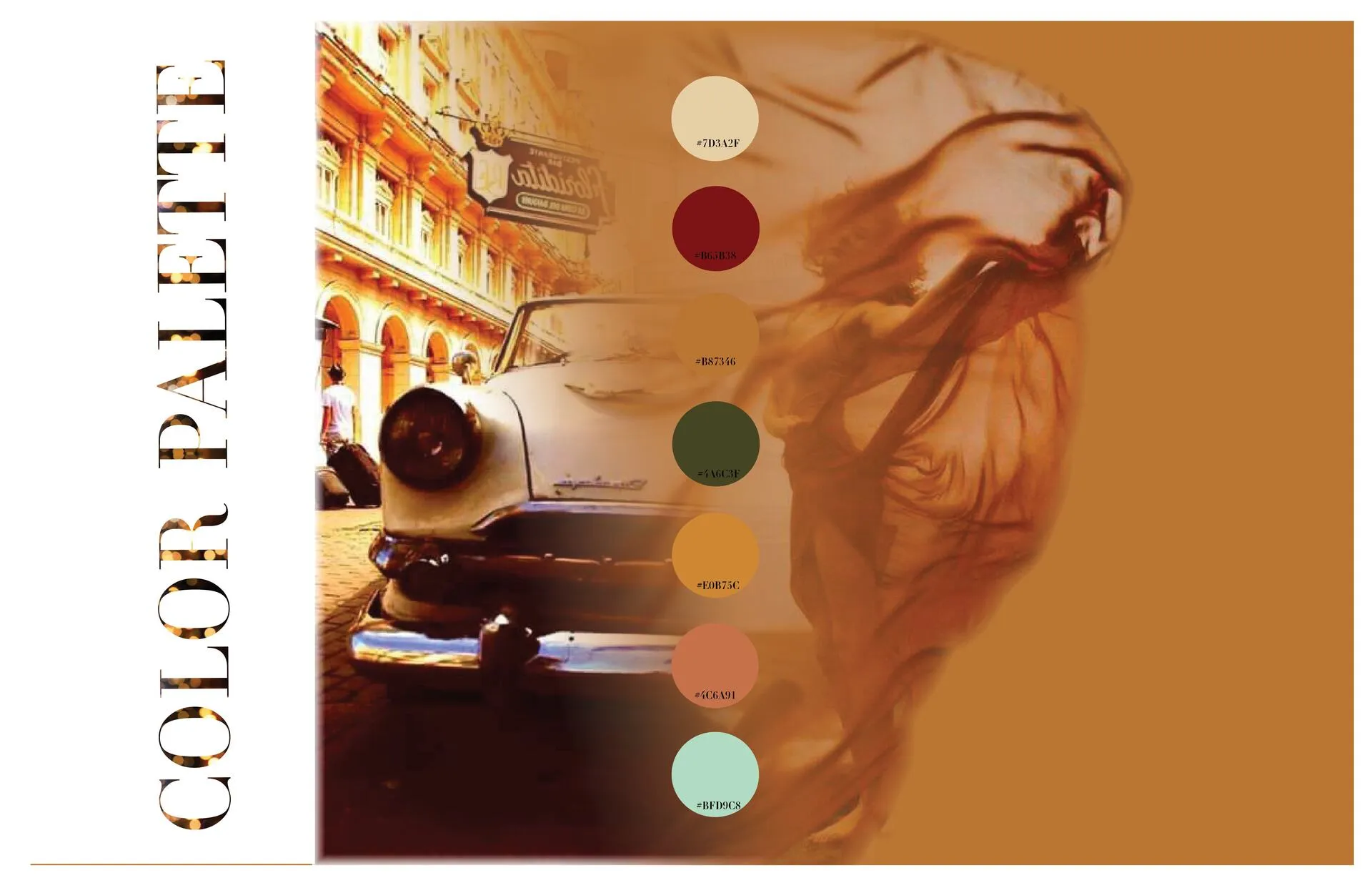 FOTOGRAFIAS PROYECTOS. WEBSITE (1)_compressed (1)-imágenes-12_resultado