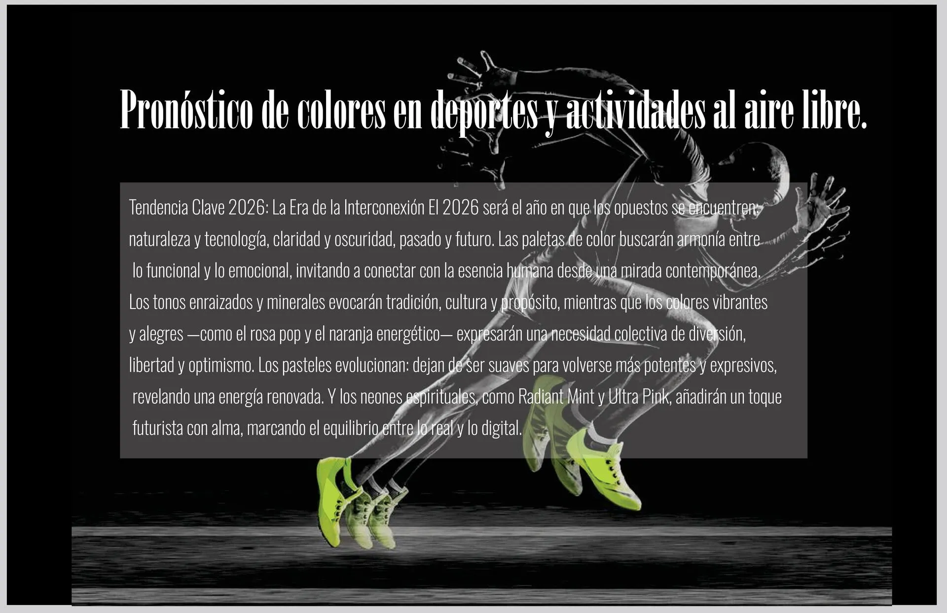 FOTOGRAFIAS PROYECTOS. WEBSITE (1)_compressed (1)-imágenes-26_resultado