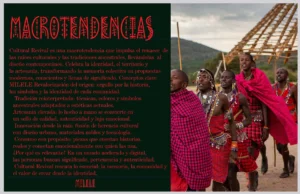 FOTOGRAFIAS PROYECTOS. WEBSITE (1)_compressed (1)-imágenes-4_resultado