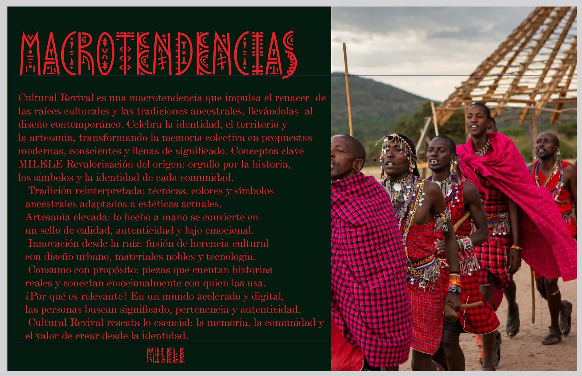 FOTOGRAFIAS PROYECTOS. WEBSITE (1)_compressed (1)-imágenes-4_resultado